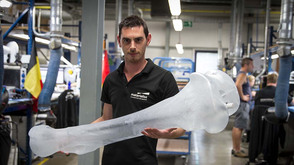 Проект 3D печати костей мамонта