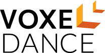 VoxelDance