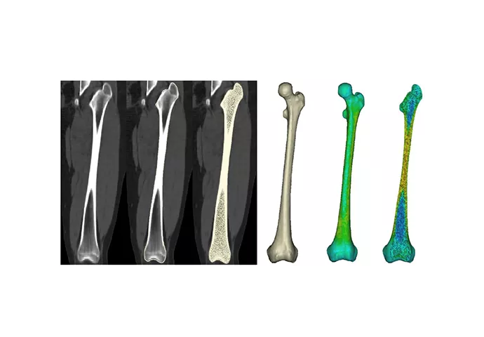 Программный продукт Materialise Mimics Innovation Suite (MIS)