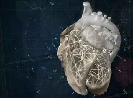 Создание 3D-моделей костей, мускулов, легких и сердечно-сосудистой системы из снимков МРТ и КТ