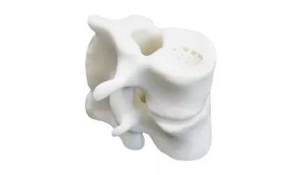 Kings 3D P440 SLS №7