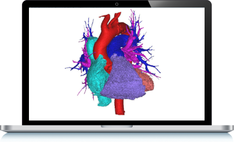 C&V Segmentation