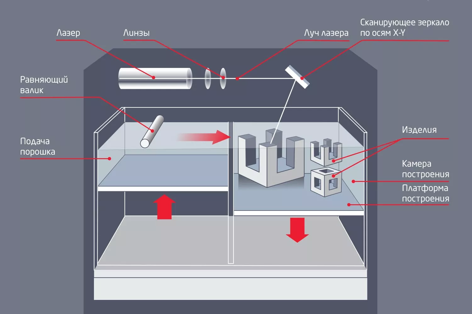 3D принтер SLS в Москве, купить профессиональные SLS принтеры для 3Д печати  по выгодной цене